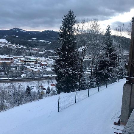 Lambach Villa Appartament 2 Мюрццушлаг Экстерьер фото